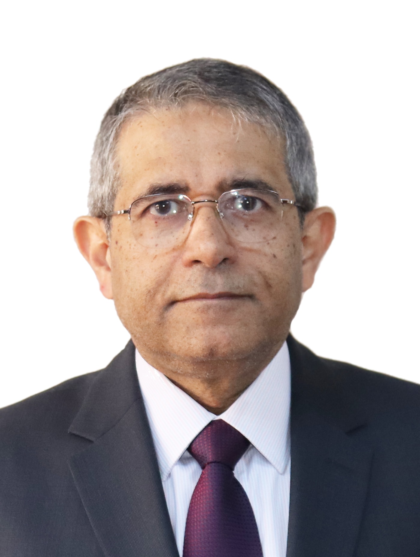 EGYPTROL Founder and Managing Director Mohamad Zaki Consultant